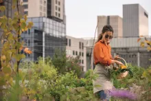Notre zone d'activité pour ce service Vente de lunettes de grandes marques recyclées et de seconde main