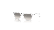 RB2132 NEW WAYFARER 677432