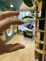 Notre zone d'activité pour ce service Opticien indépendant spécialisé en lunettes en bois éco-responsables