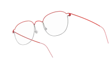 RIM ROBIN